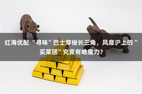 红海优配 “寻味”巴士穿梭长三角，风靡沪上的“买菜团”究竟有啥魔力？