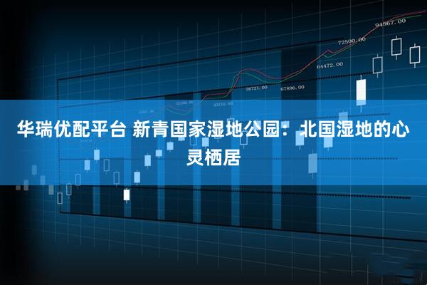 华瑞优配平台 新青国家湿地公园：北国湿地的心灵栖居