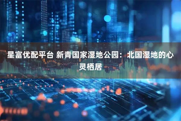 星富优配平台 新青国家湿地公园：北国湿地的心灵栖居