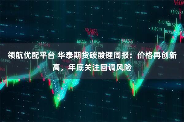 领航优配平台 华泰期货碳酸锂周报：价格再创新高，年底关注回调风险