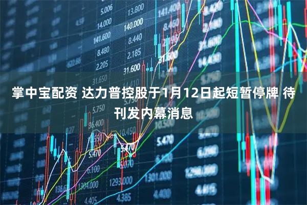 掌中宝配资 达力普控股于1月12日起短暂停牌 待刊发内幕消息