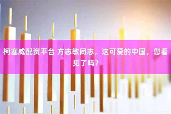 柯塞威配资平台 方志敏同志，这可爱的中国，您看见了吗？